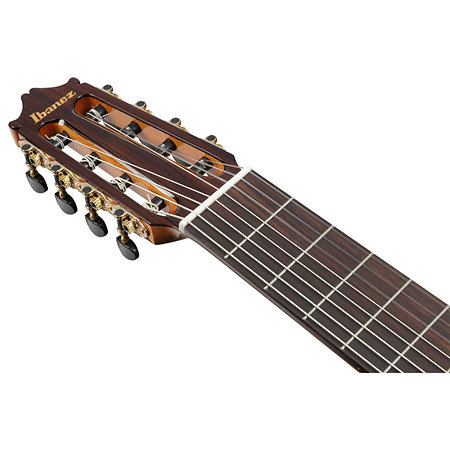 GA3008CE Natural High Gloss + étui Ibanez