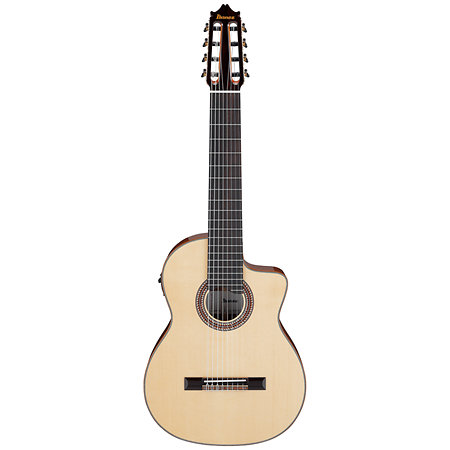 GA3008CE Natural High Gloss + étui Ibanez