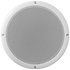 MXA320 White Shure