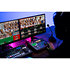 P-20HD Video Instant Replayer Roland