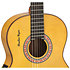 Signature Legacy Maestro Guitars Gipsy Kings Yellow Manuel Rodriguez
