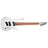Ninja X 7-string Multi-scale Japan Arctic Frost + Housse Legator