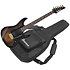 AZ41P1EW Natural Gray Burst + housse Ibanez