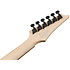 RGR431PB Charcoal Gray Flat Ibanez
