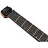 QX52B Weathered Black + housse Ibanez