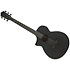 AEWC621L Black Out Gaucher Ibanez