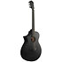 AEWC621L Black Out Gaucher Ibanez