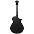 AEWC621L Black Out Gaucher Ibanez