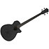 AEGB420 Black Out Ibanez