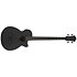 AEGB420 Black Out Ibanez