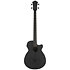 AEGB420 Black Out Ibanez