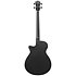 AEGB420 Black Out Ibanez