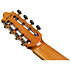 GA3008CE Natural High Gloss + étui Ibanez
