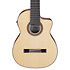 GA3008CE Natural High Gloss + étui Ibanez