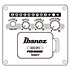GA3007CE Natural High Gloss Ibanez