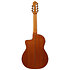 GA3007CE Natural High Gloss Ibanez