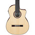 GA3007CE Natural High Gloss Ibanez