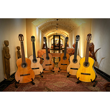 Pleyel P100