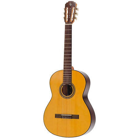 P100 Pleyel