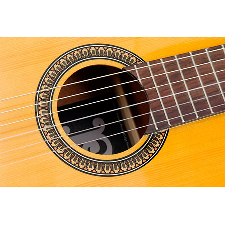 P100 Pleyel