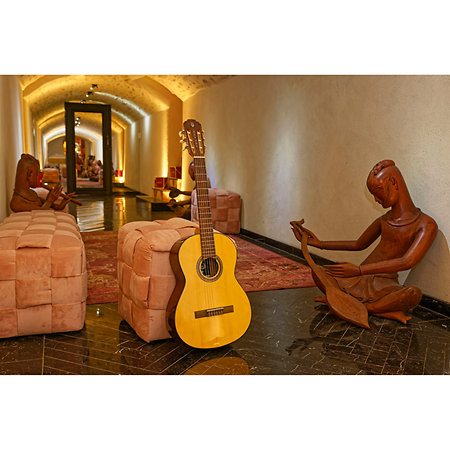 P100 Pleyel