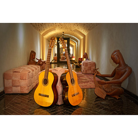 P100 Pleyel