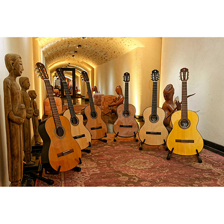 P200 Pleyel