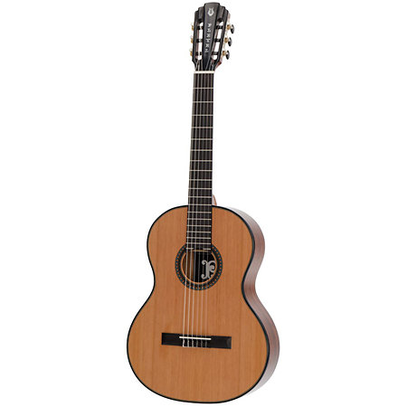 P1000 + Housse Pleyel