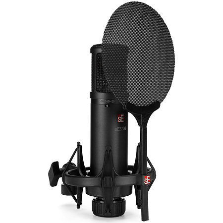 SE Electronics sE2200