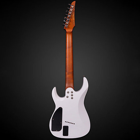 Ninja Overdrive 7-string Multiscale Arctic Burst + Housse Legator