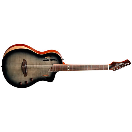 RTPG-LS1 TourPlayer Grey Burst Ortega