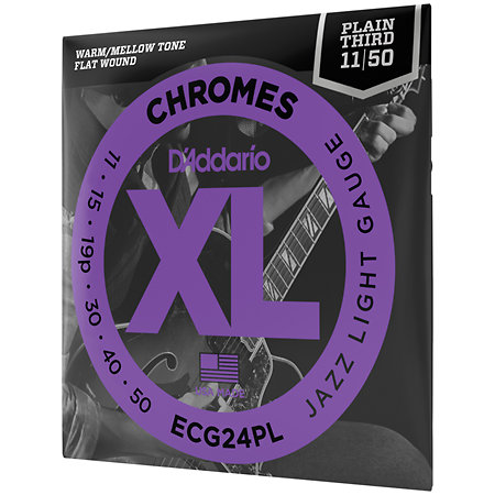 D'Addario ECG24PL