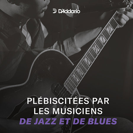 ECG24PL D'Addario