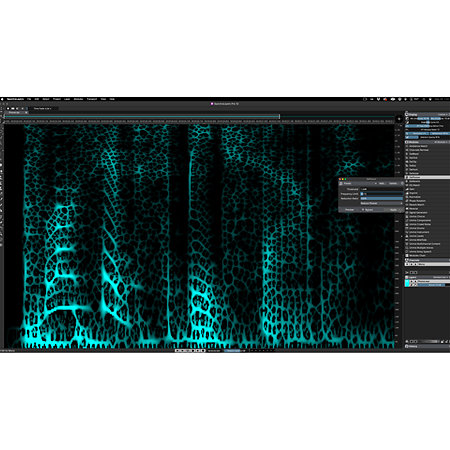 Steinberg Download SpectraLayers Pro 12 (licence)