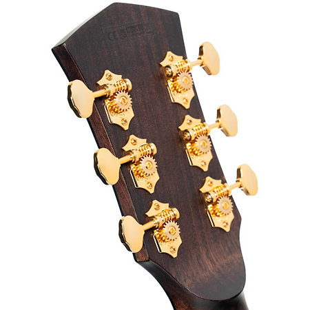 Gold MC6 Ovangkol Natural Cort