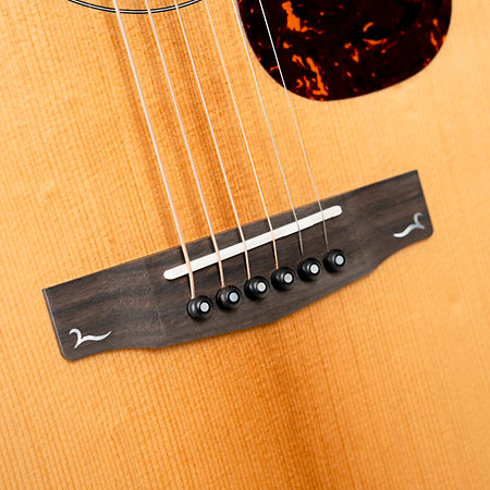 Gold MC6 Ovangkol Natural Cort