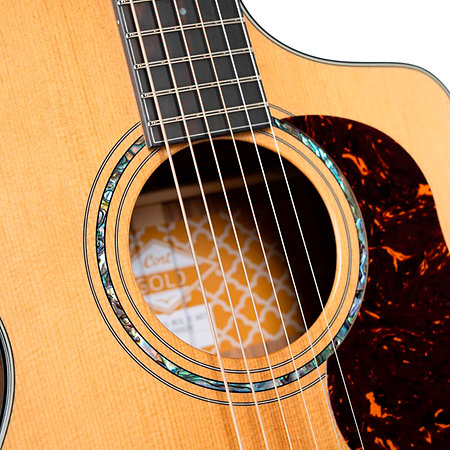 Gold MC6 Ovangkol Natural Cort