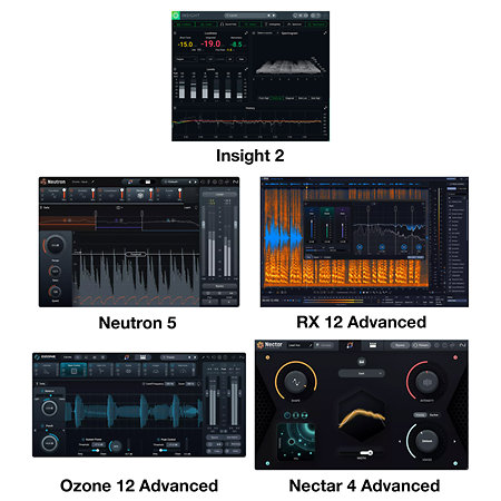 Everything Bundle (Licence téléchargeable) Izotope