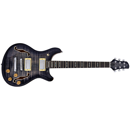 Larry Carlton Q7 Hollow Transparent Black