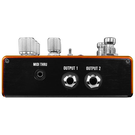 Pathways Reverb Tremolo Source Audio