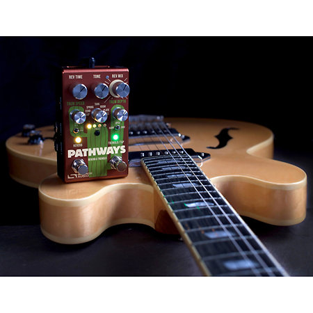 Pathways Reverb Tremolo Source Audio
