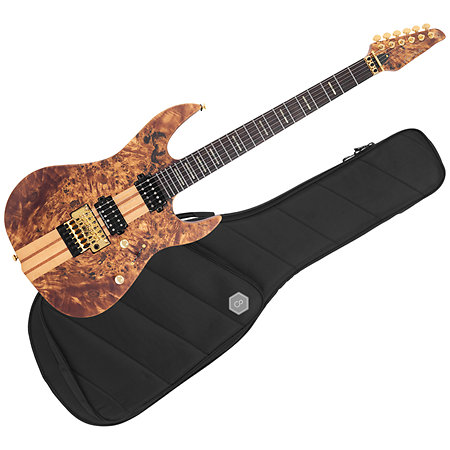 Larry Carlton X10 Natural Satin + housse