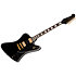 Firebird Custom Bound Head Veneer Ebony + Etu Gibson