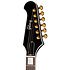 Firebird Custom Bound Head Veneer Ebony + Etu Gibson