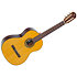 P100 Pleyel