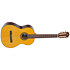 P100 Pleyel