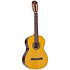 P100 Pleyel