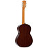 P100 Pleyel