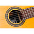 P100 Pleyel