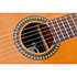 P200 Pleyel